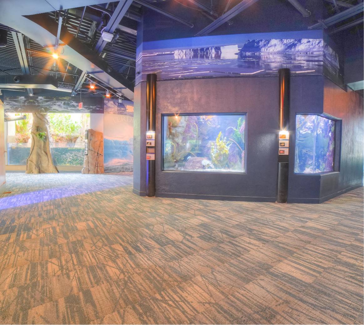 PPG Pittsburgh Aquarium