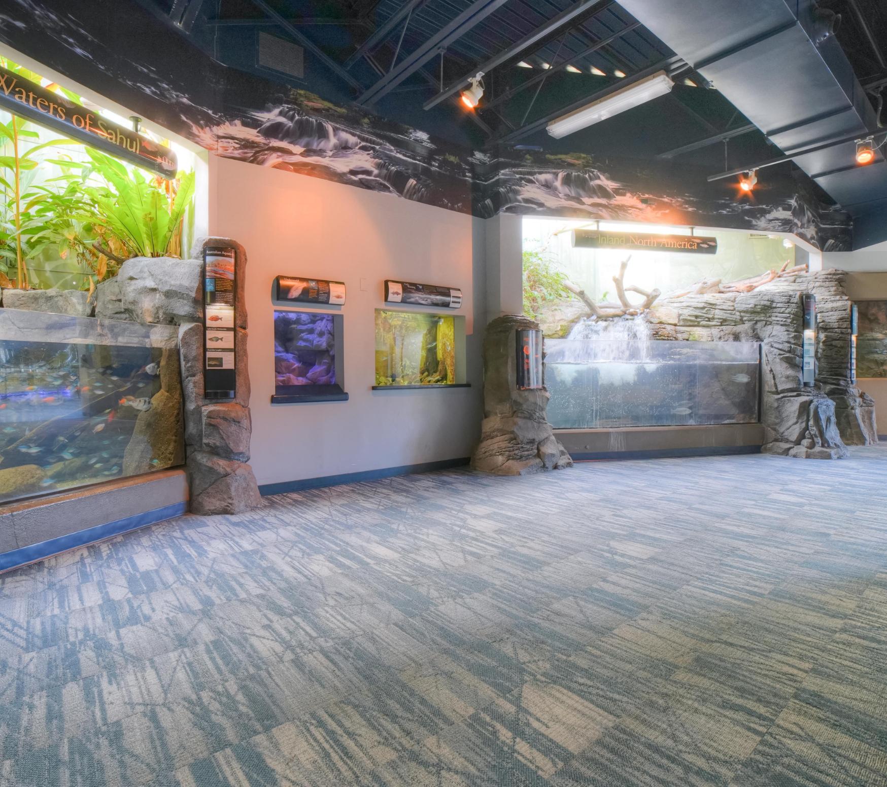 Inside PPG Aquarium