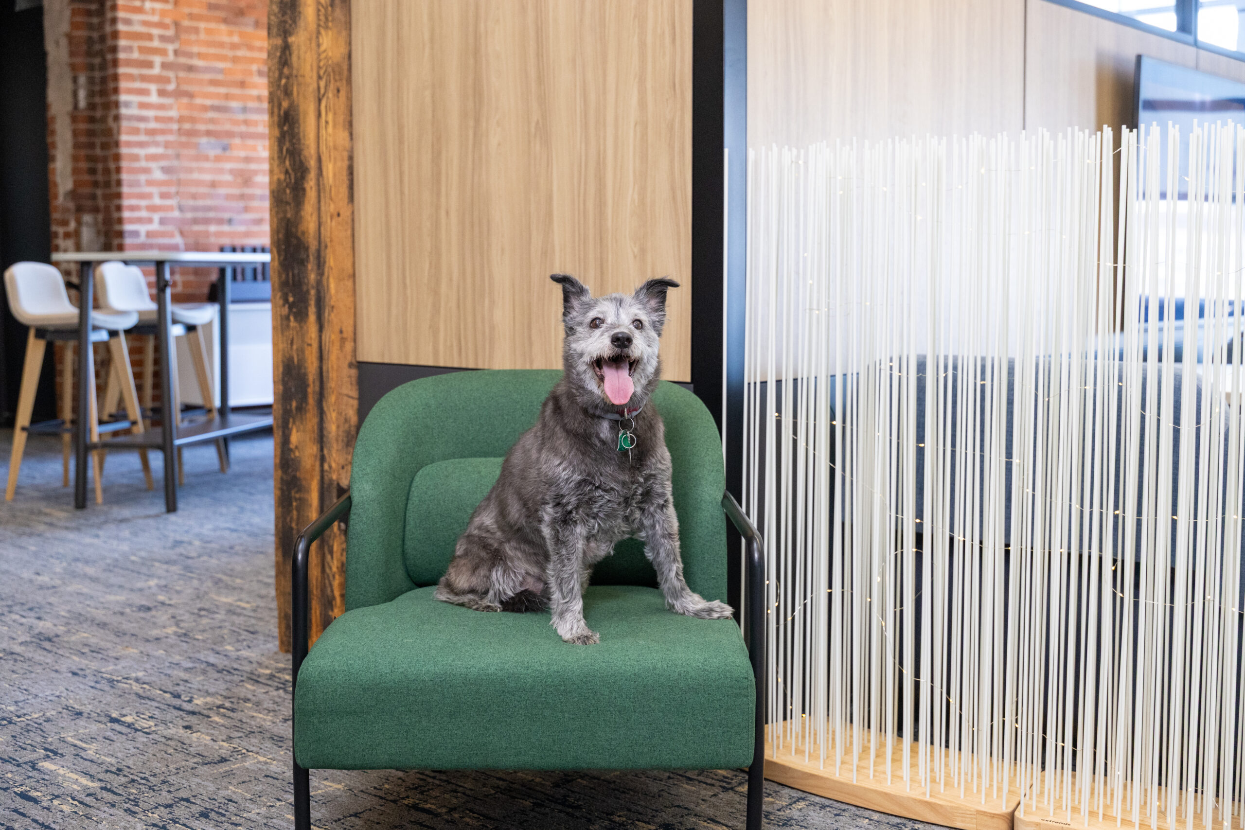 Matilda - Franklin Integrated Interiors